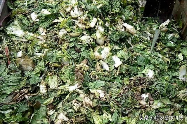 果蔬廢棄物垃圾怎樣進(jìn)行科學(xué)資源化無(wú)害化減量化處理？
